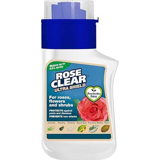 rose clear 200ml