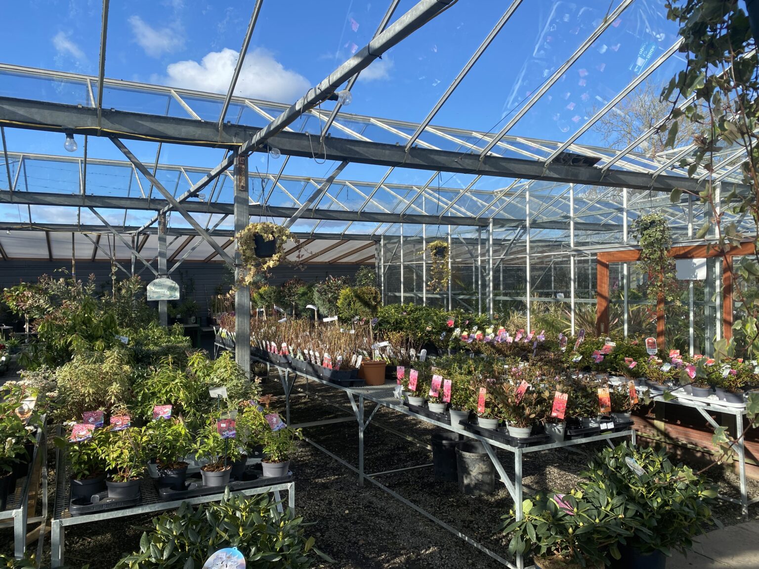 Craigend Nursery & Coffee Shop Garden Centre in Cumbernauld